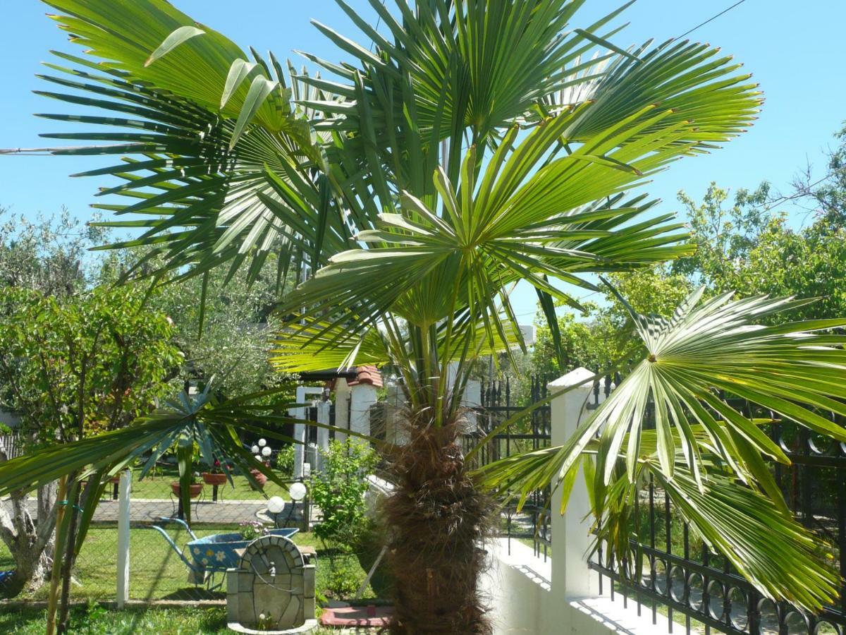 Kallilkratia Holiday Flat 2 Nea Kallikrateia 외부 사진